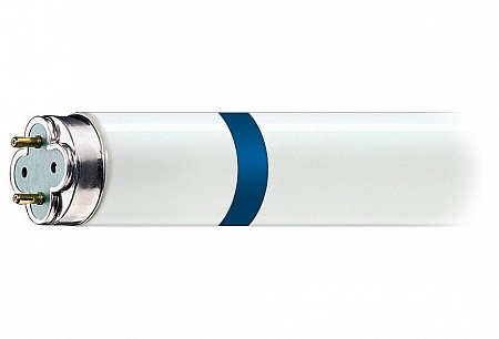 Лампа 10W (для WE-100-2) осколкозащищенная
