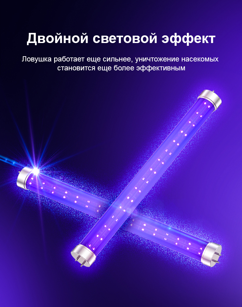 Тор 100